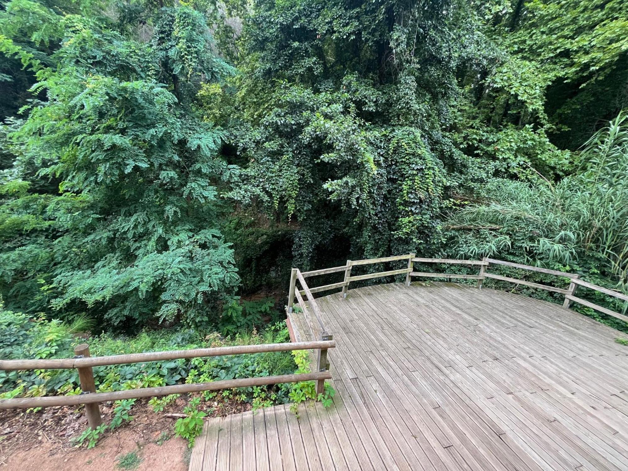Apartamento El Mirador De La Farga Arbúcies 외부 사진